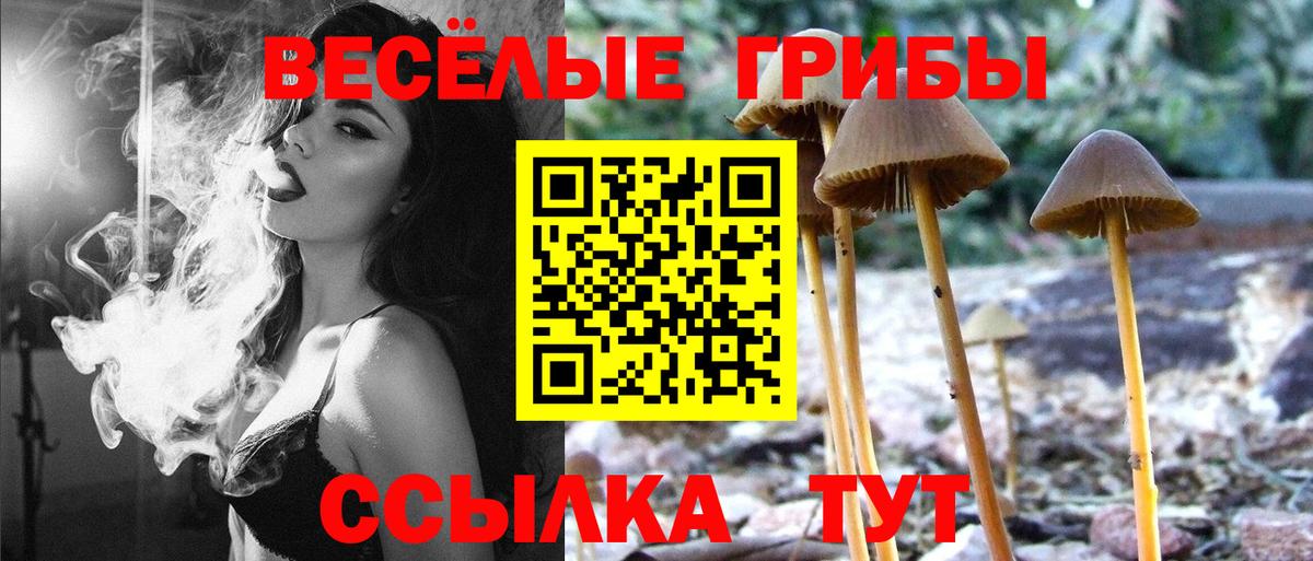 Гагарин  Галлюциногенные грибы Cubensis  где найти наркотики  Вход с VPN 