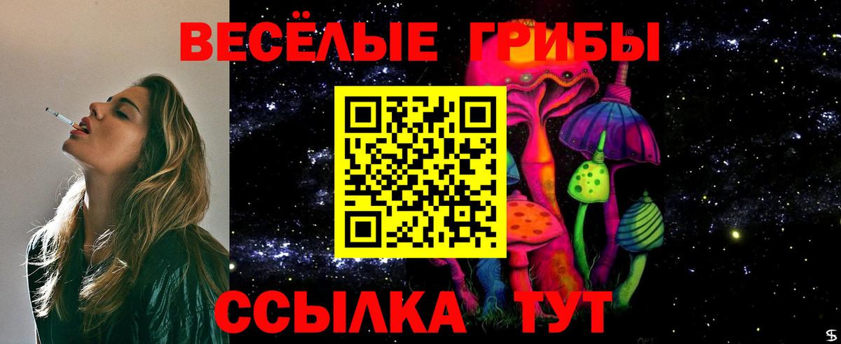 Псилоцибиновые грибы мицелий Гагарин